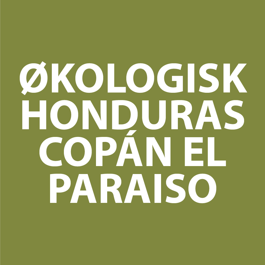 Honduras Copán El Paraiso